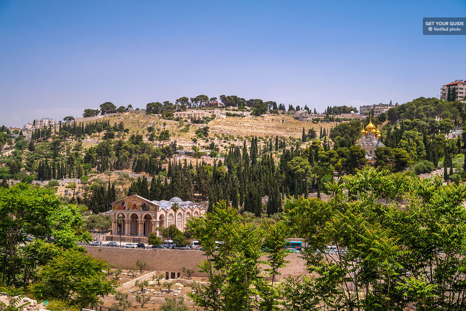 A TERRA SANTA RESERVA EXPERIÊNCIAS SURPREENDENTES PRA VOCÊ. Shekinatur e Caprice Turismo, viagens para Israel. Caminhando nas Paginas da Bíblia.